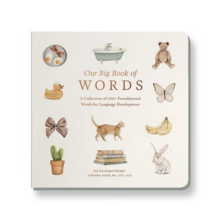 Our Big Book of First Words