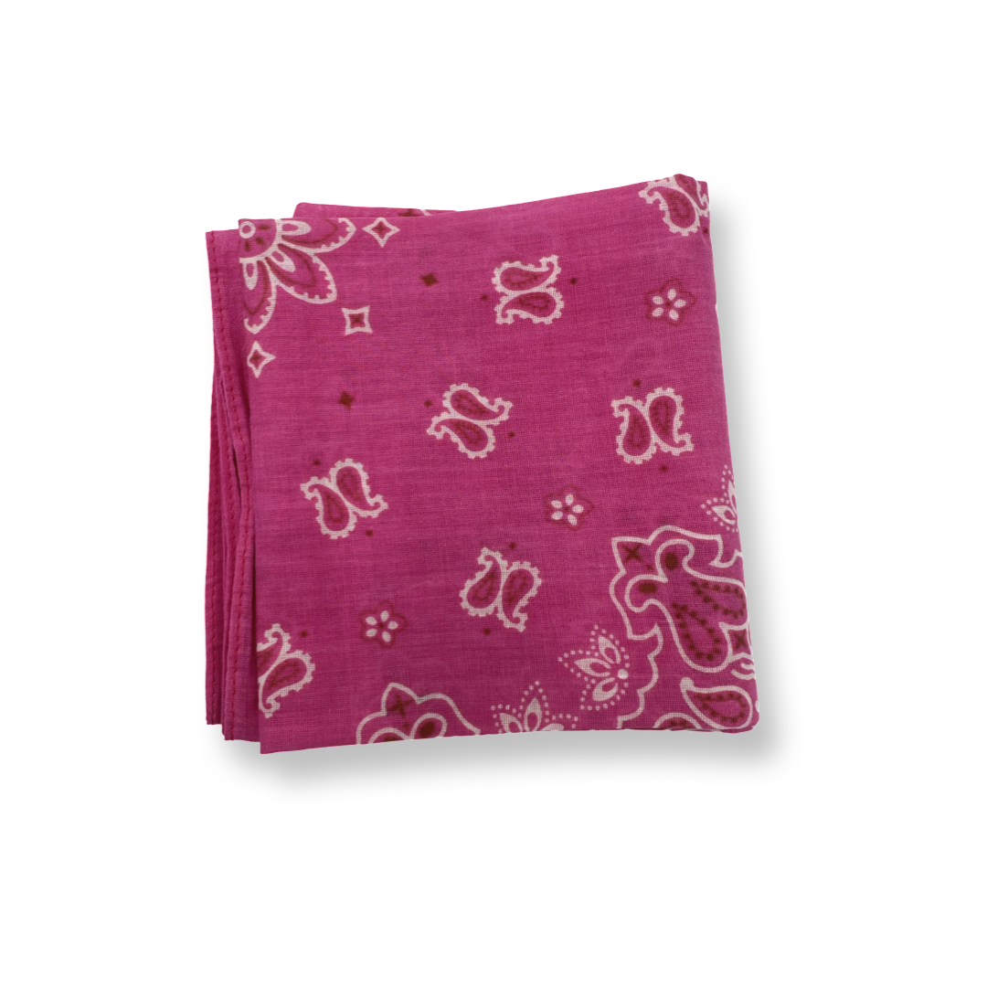 Hand Dyed Bandana