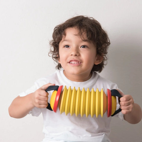 Concertina Musical Toy